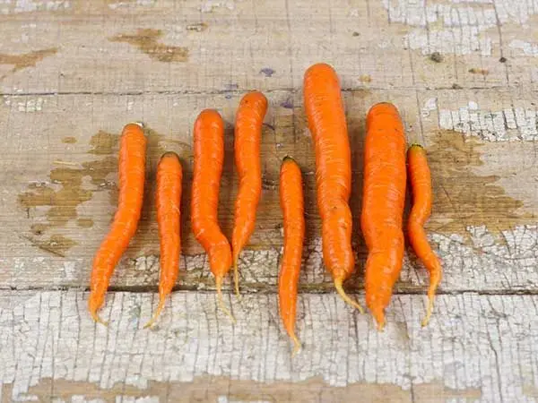 carrot-little-finger