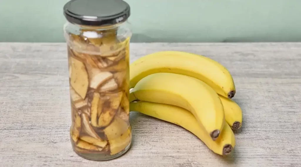 Banana water and peels for plants growth