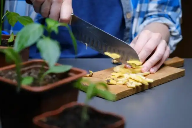 using banana peel for plants