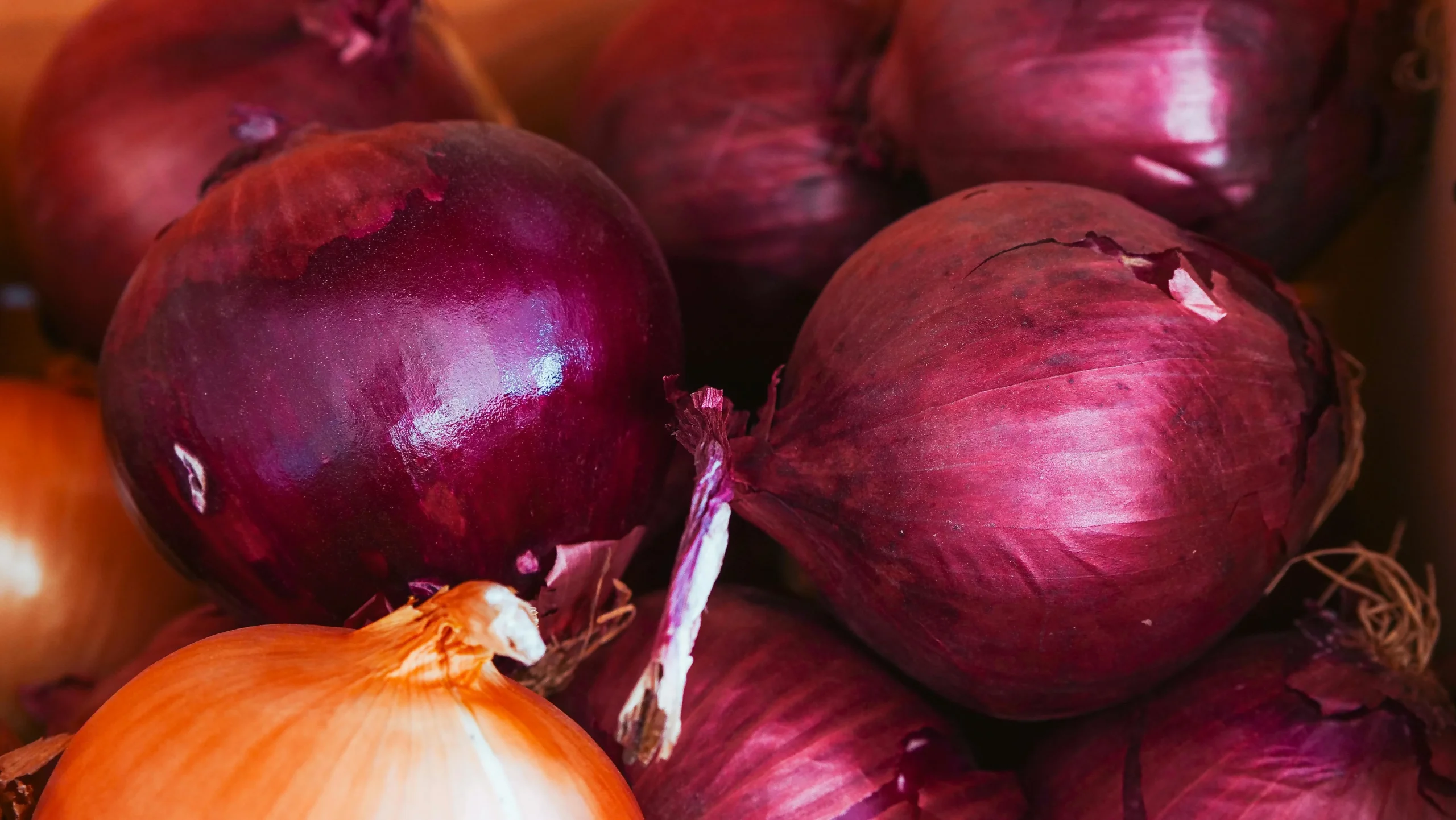 grow red onions