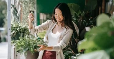 Prepare and Care for Your Garden During the Summer
