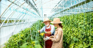 Chemical-Free Organic Gardening