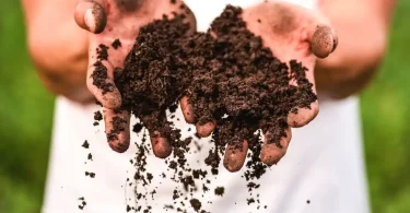 Ways to Improve Soil Health