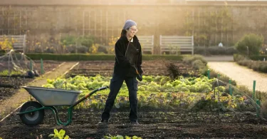 No-Dig Gardening Benefits
