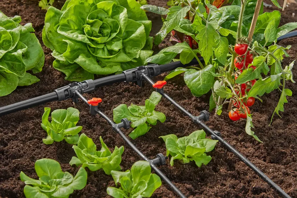 Regenerative Gardening Principles
