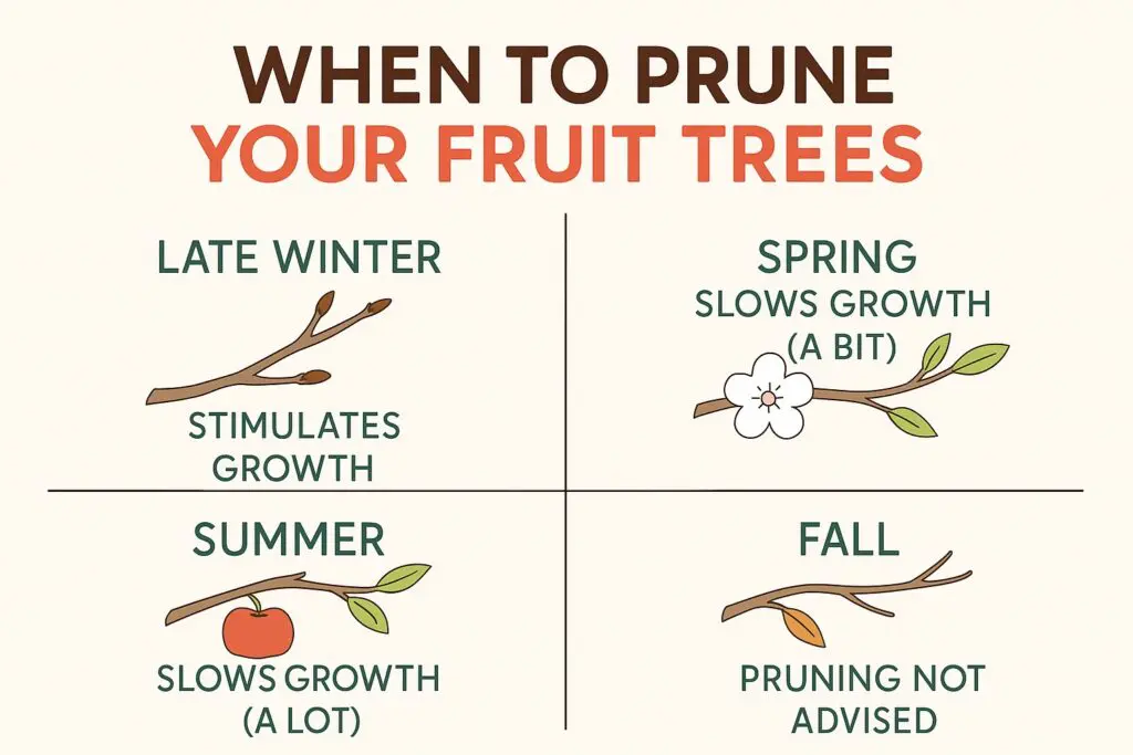 when to prune your fruit trees