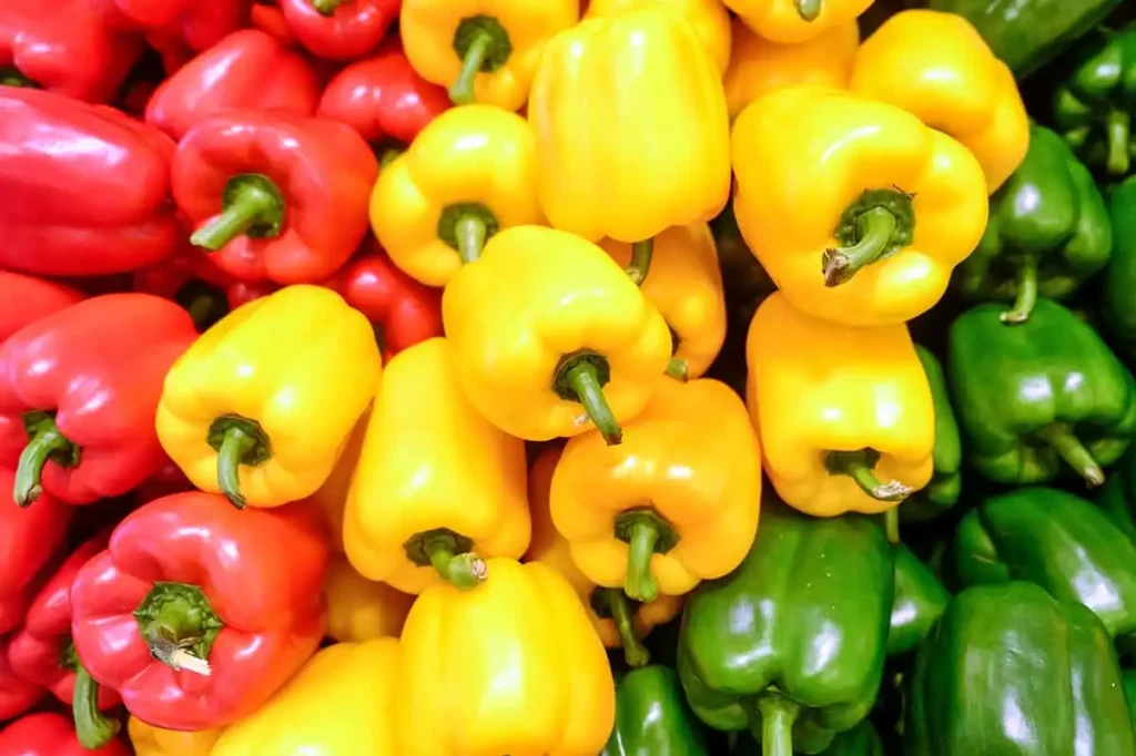 Bell-Peppers