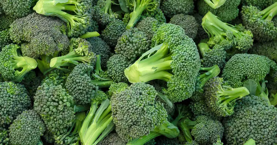 Broccoli Benefits
