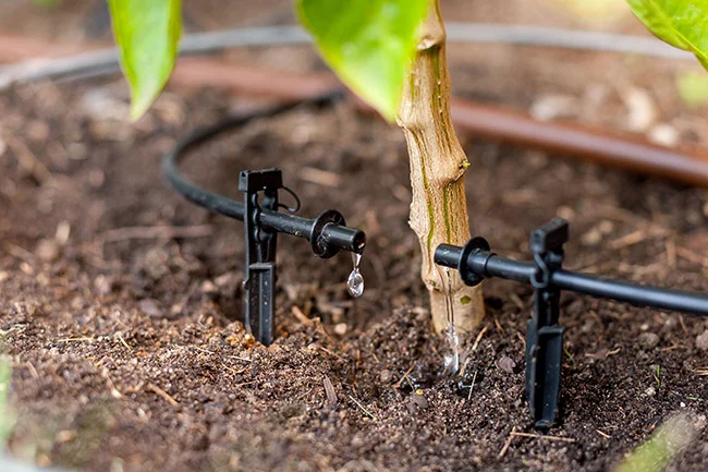 Drip Irrigation for Small Gardens