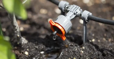 micro-drip-watering-time