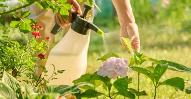 non-toxic pesticides