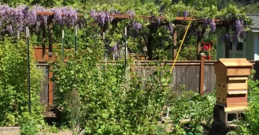 Biodynamic Gardening at Home