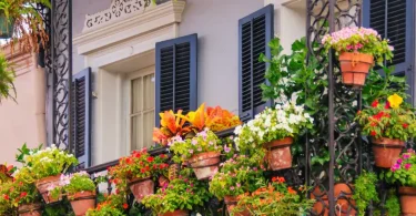 Spring Balcony Planting