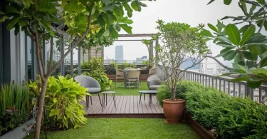 Rooftop Garden