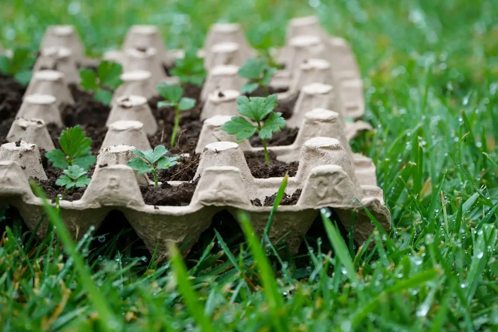 The-Vital-Role-of-Recycled-Materials-in-Farming