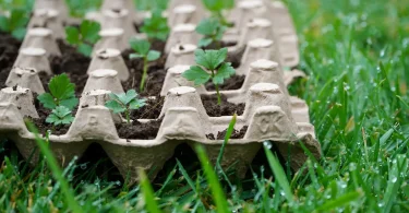 The-Vital-Role-of-Recycled-Materials-in-Farming