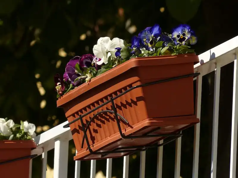 balcony-container-with-pansies