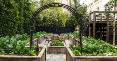 raised bed gardening