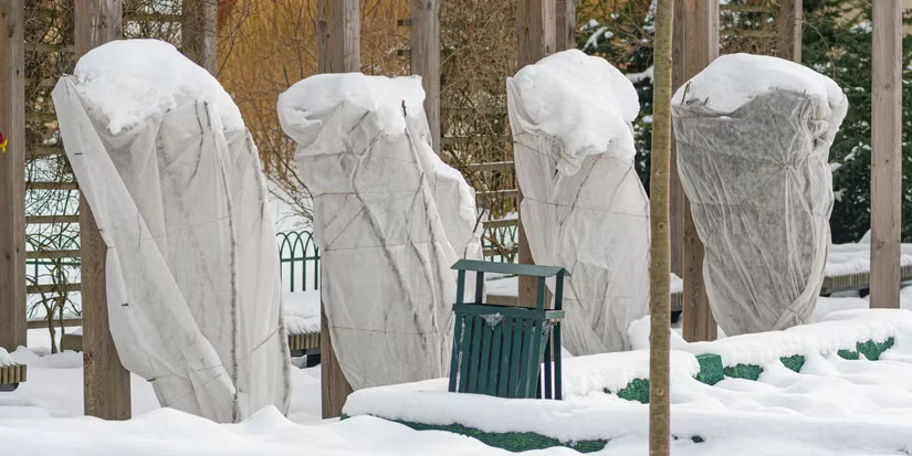 Best Natural Insulation Methods for Winter Crops