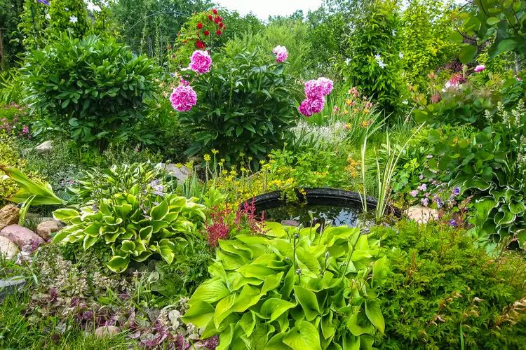 Choosing the Right Location for Your Rain Garden