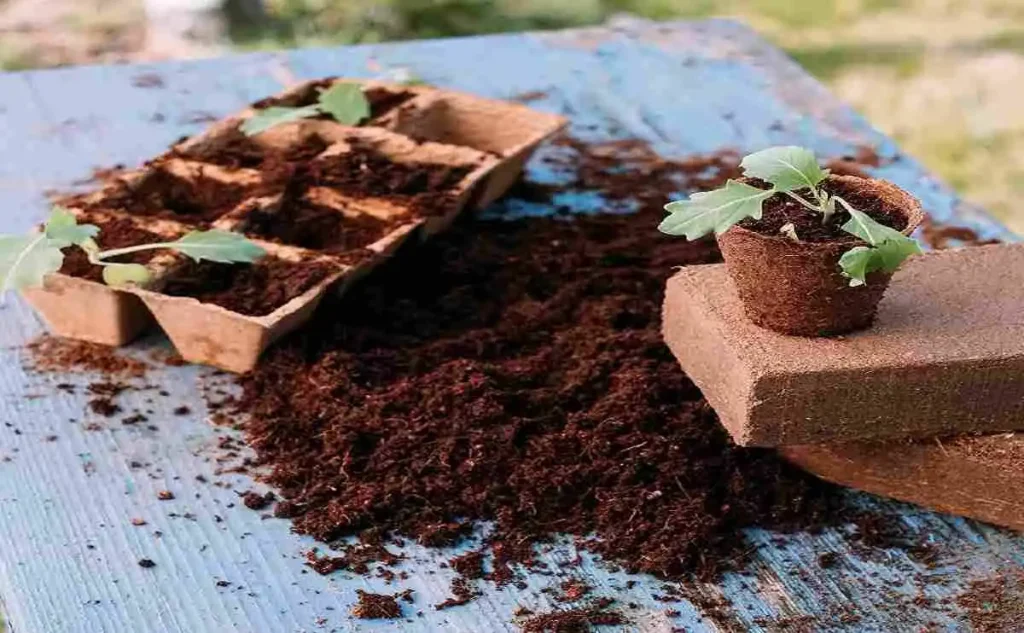 Cocopeat