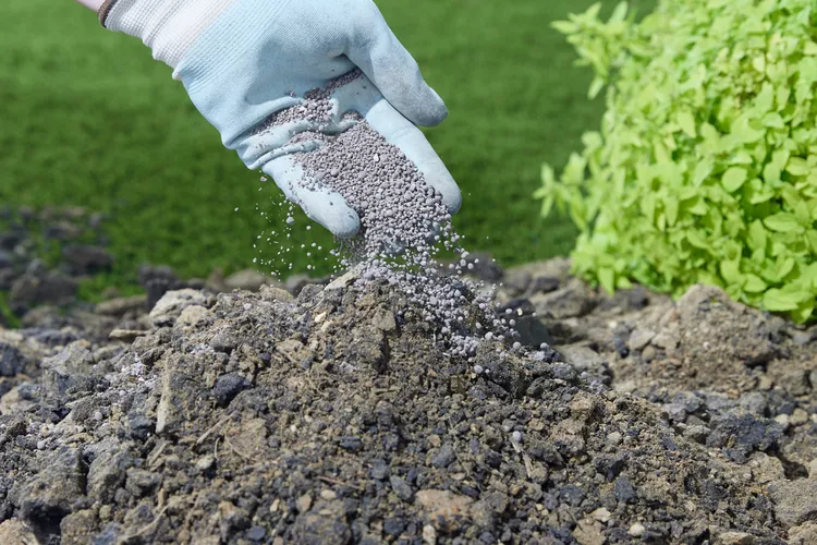 Gypsum for plants