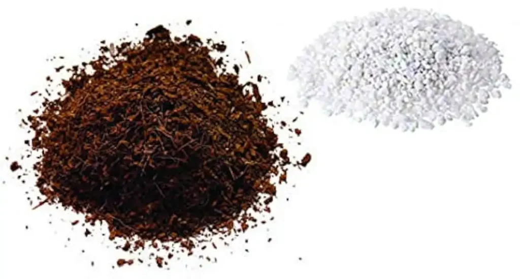 Perlite vs Cocopeat