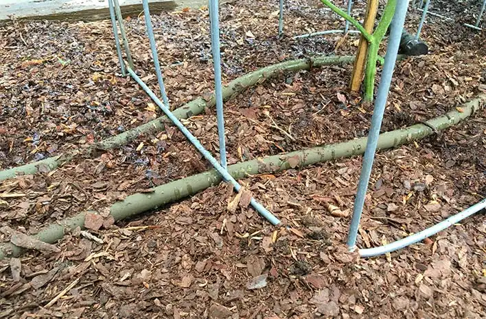 Shredded Bark or Wood Chips mulching for vegetable garden beds