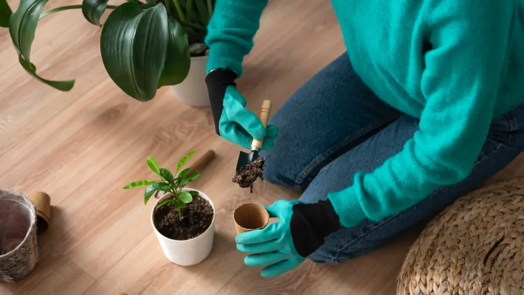 Step-by-Step Guide to Repotting Without Damaging Roots