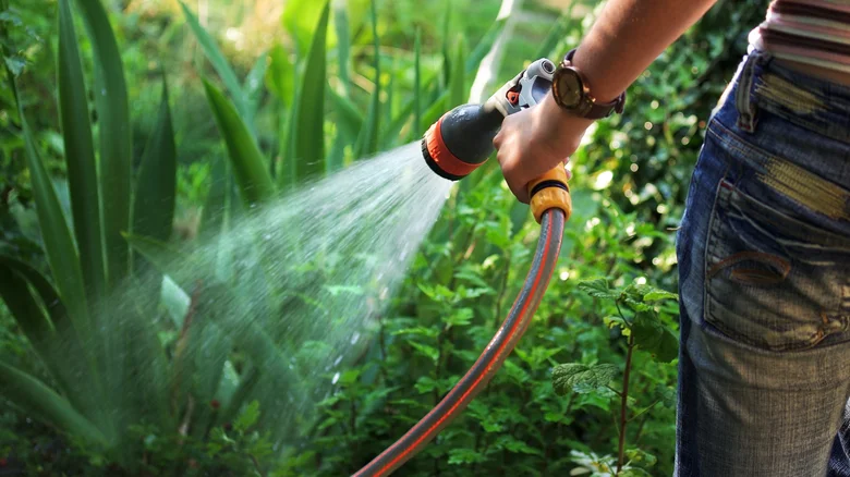 strong burst of water from a hose