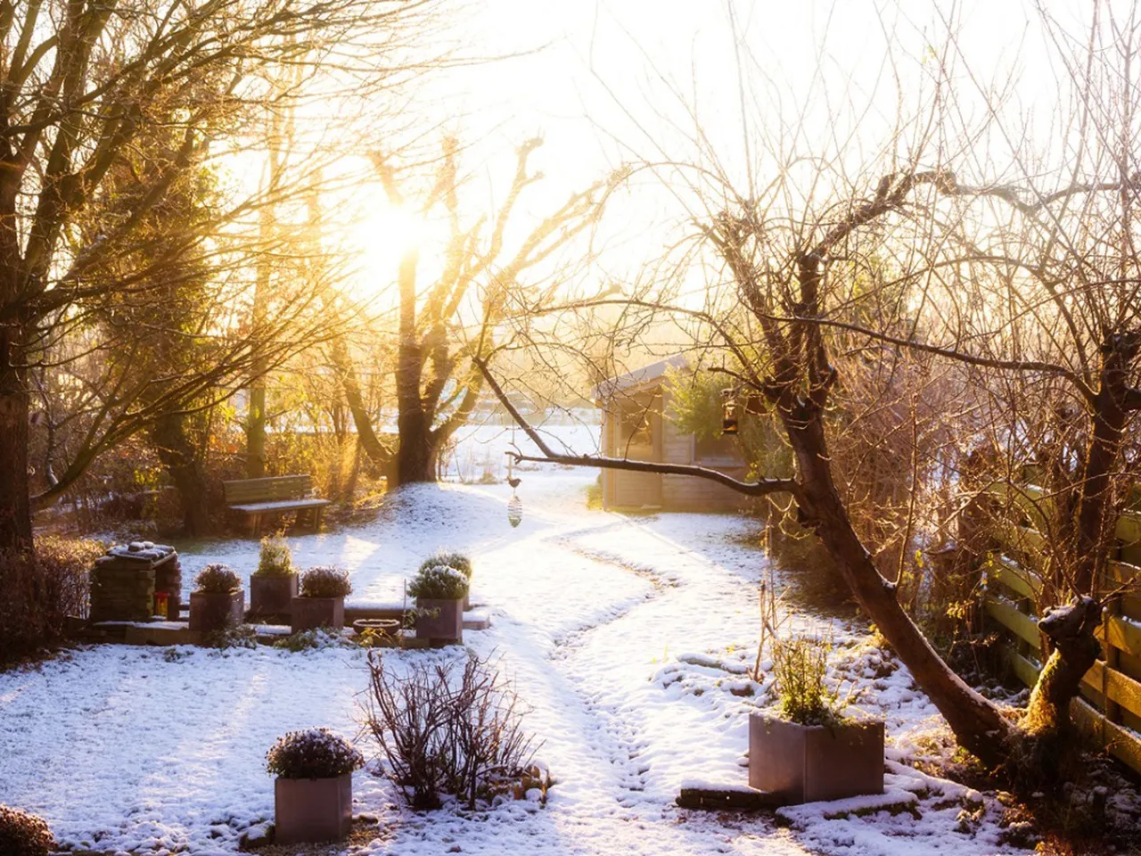 Avoid Winter Gardening Mistakes That Harm Plants 2025