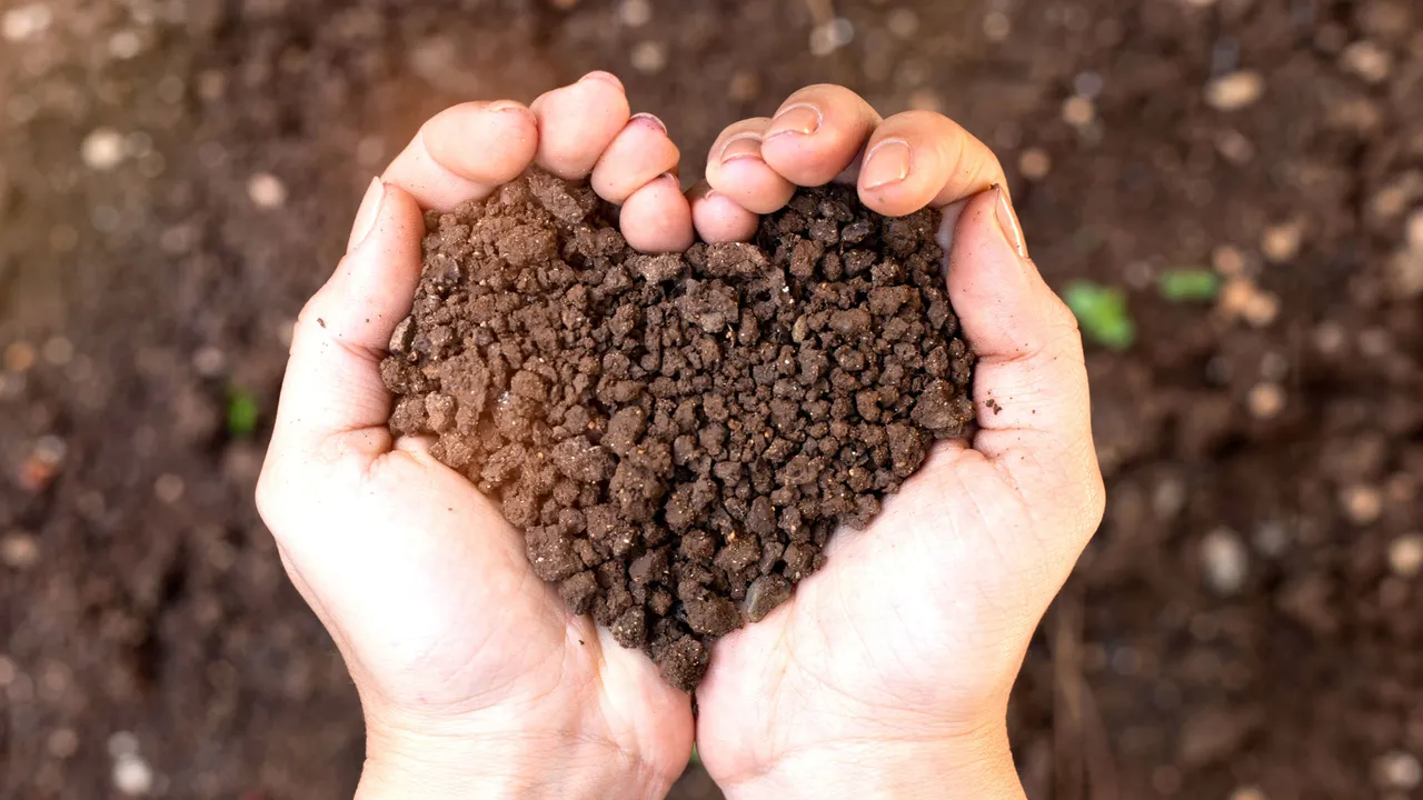 Test and Amend Your Soil Before Winter