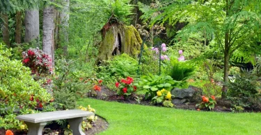 The Best Guide to Choosing Plants for Microclimates