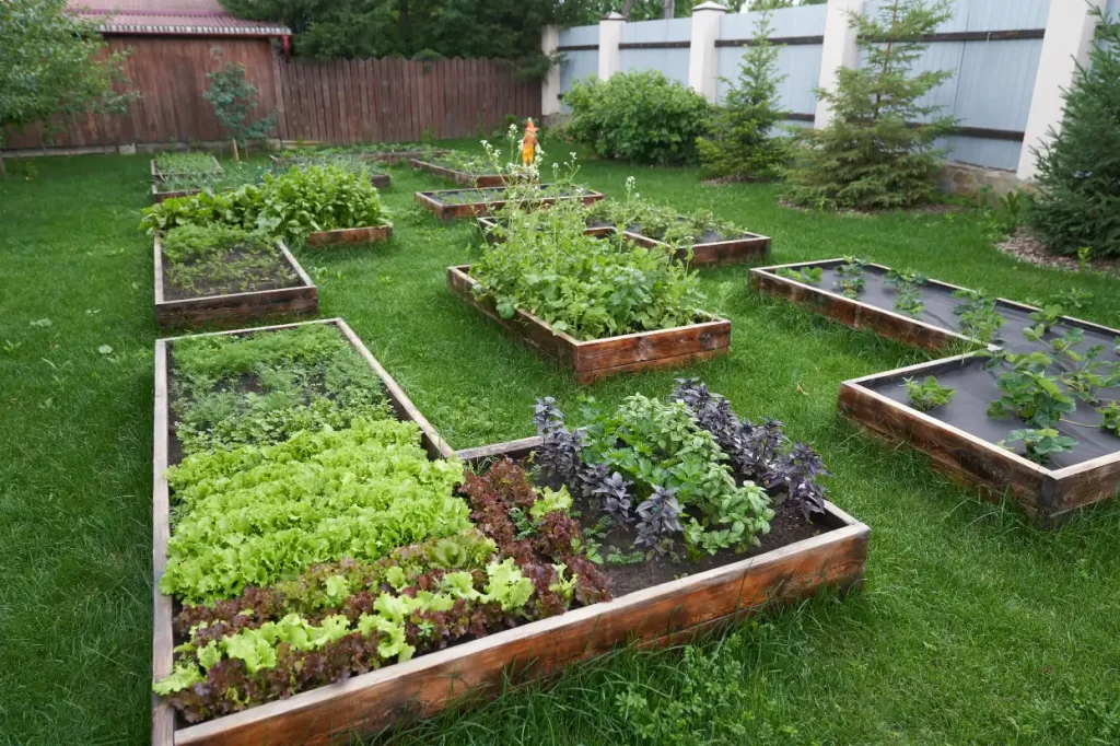 Winter Crop Rotation Ideas for Small Gardens
