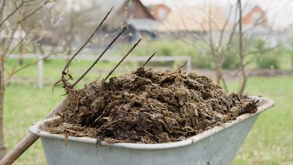 Animal Manure