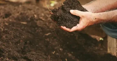 Compost-Based Gardening Methods