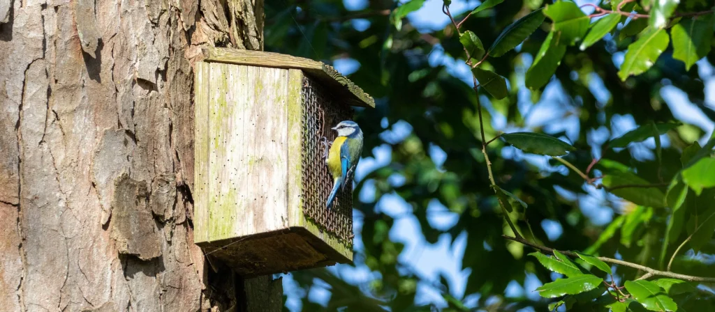 Create Shelter and Nesting Spaces