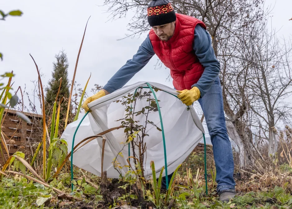 Essential Winter Maintenance Tips for Healthy Planted Areas