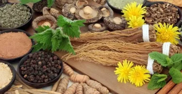How to Grow Adaptogenic Plants at Home
