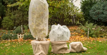 Insulating Containers for Winter-Planted Plants