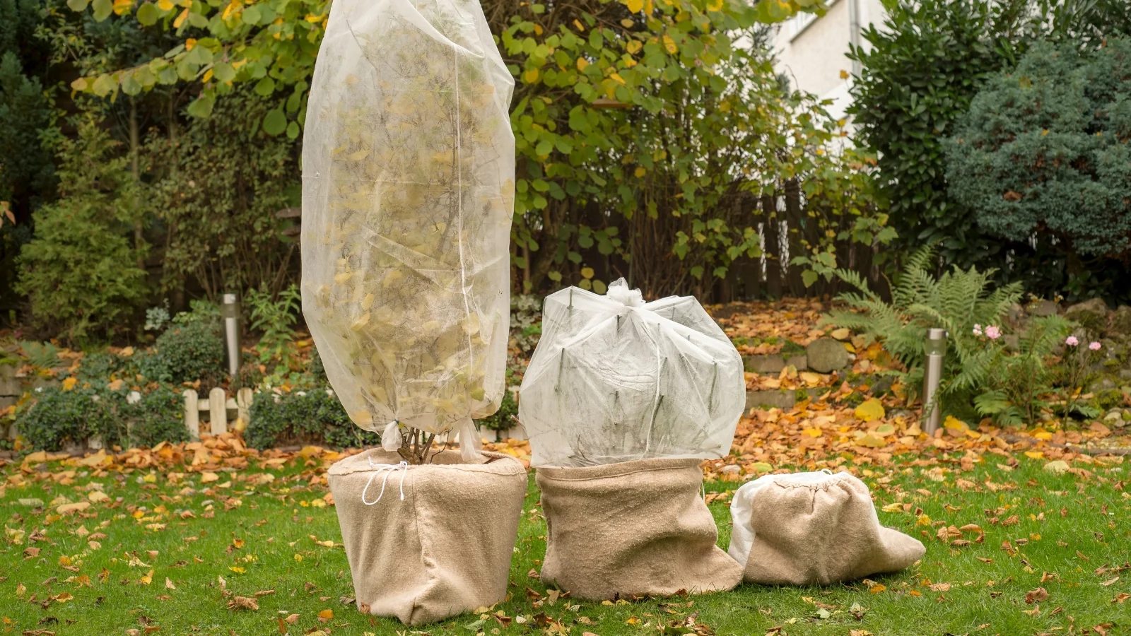 Winterizing Containers Insulating Containers for Winter-Planted Plants: Easy Guide 2025
