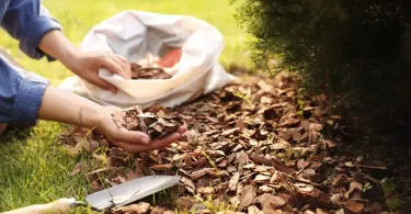 Proven Winter Mulching Techniques for Planted Crops