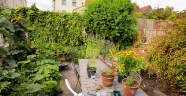 Wildlife Friendly Gardening Practices