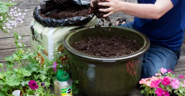 How to Manage Soil Depth in Container Gardening