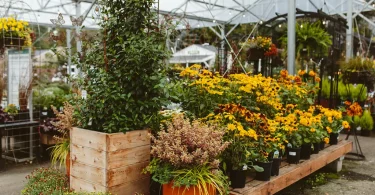 Seasonal Plant Protection Tips for a Healthy Garden All Year