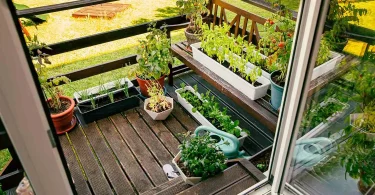 Small Space Planting Strategies That Work