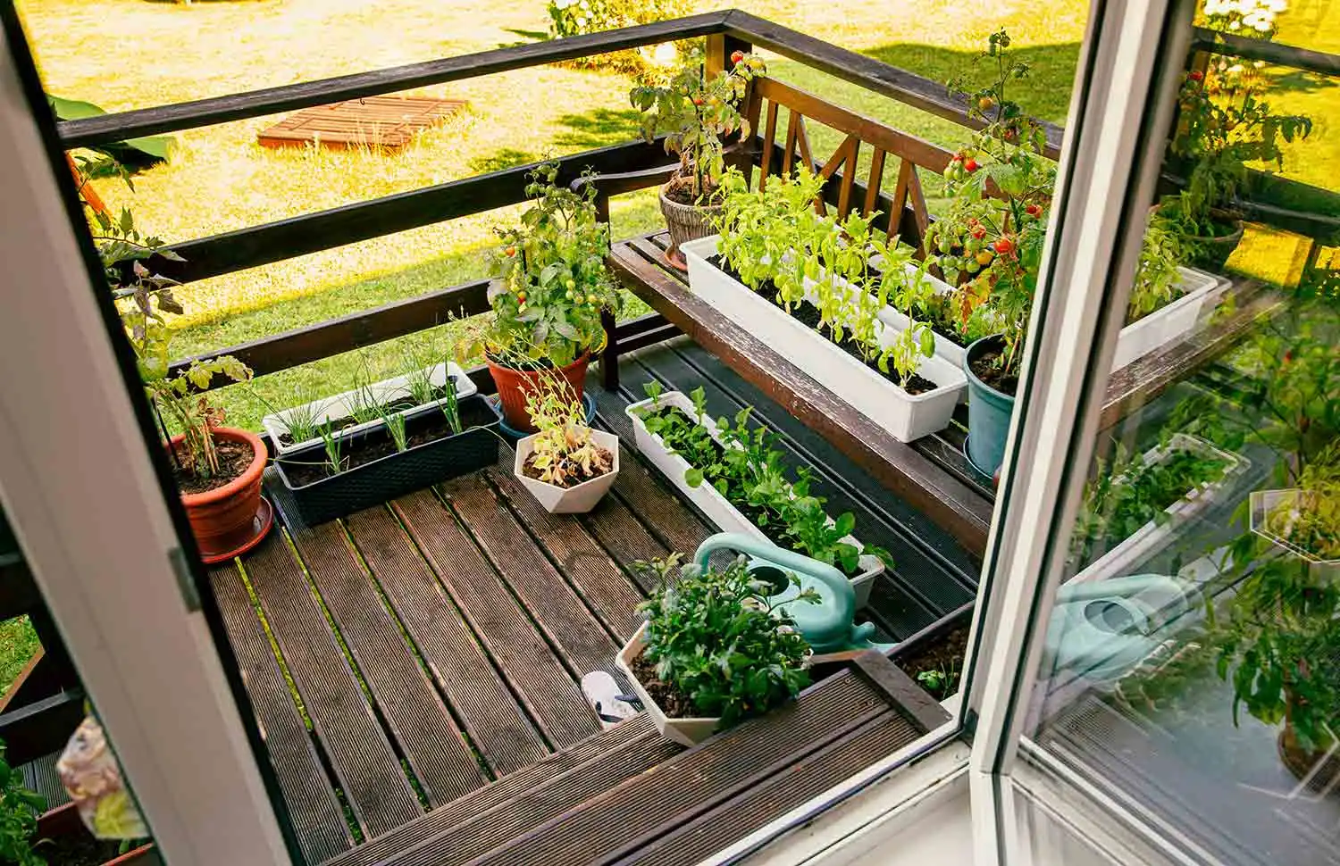 Simplicity Planting Proven Small Space Planting Strategies That Work Fast 2025