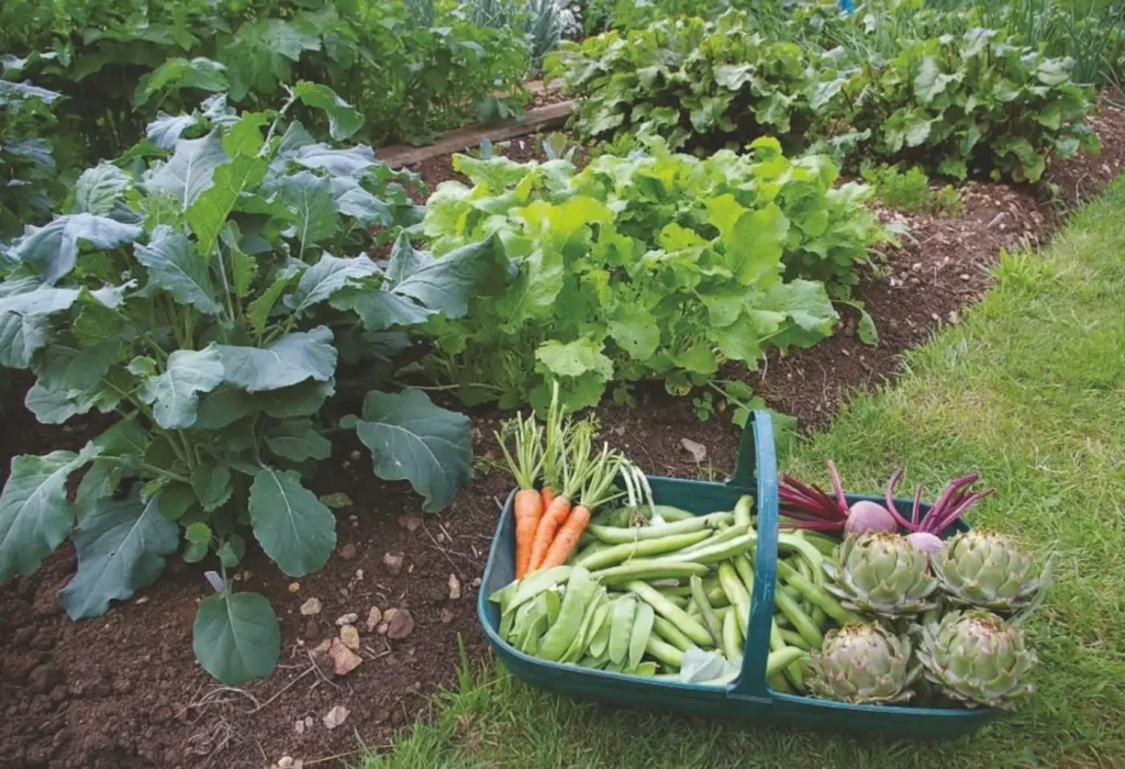 Low Carbon Footprint Gardening