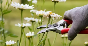 Spring Pruning and Planting Guide