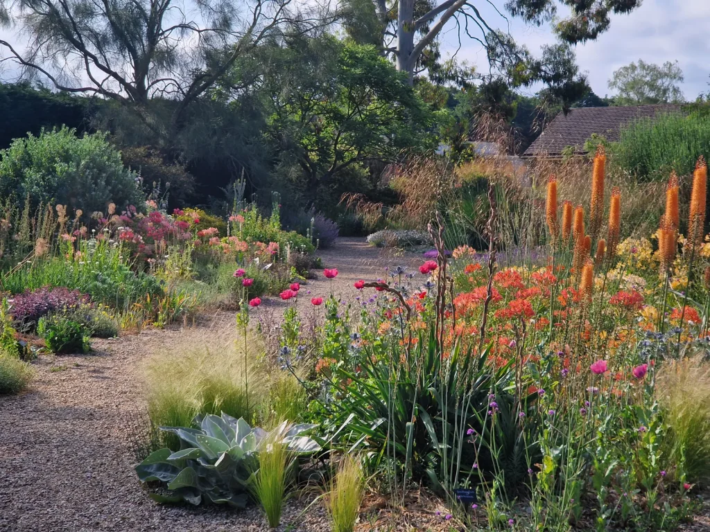 Ways to Plant in a Gravel Garden in Hot Dry Climates